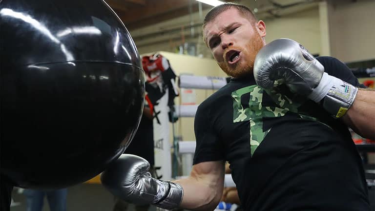 Can Canelo Alvarez dominate the number one light-heavyweight?