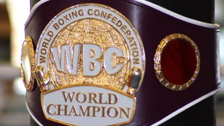 wbc boxing