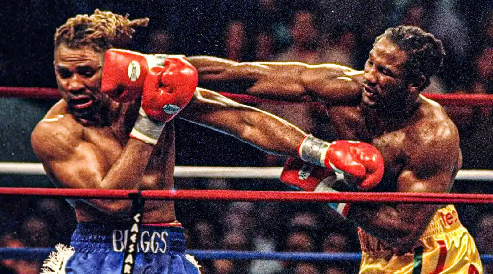 lewis v briggs