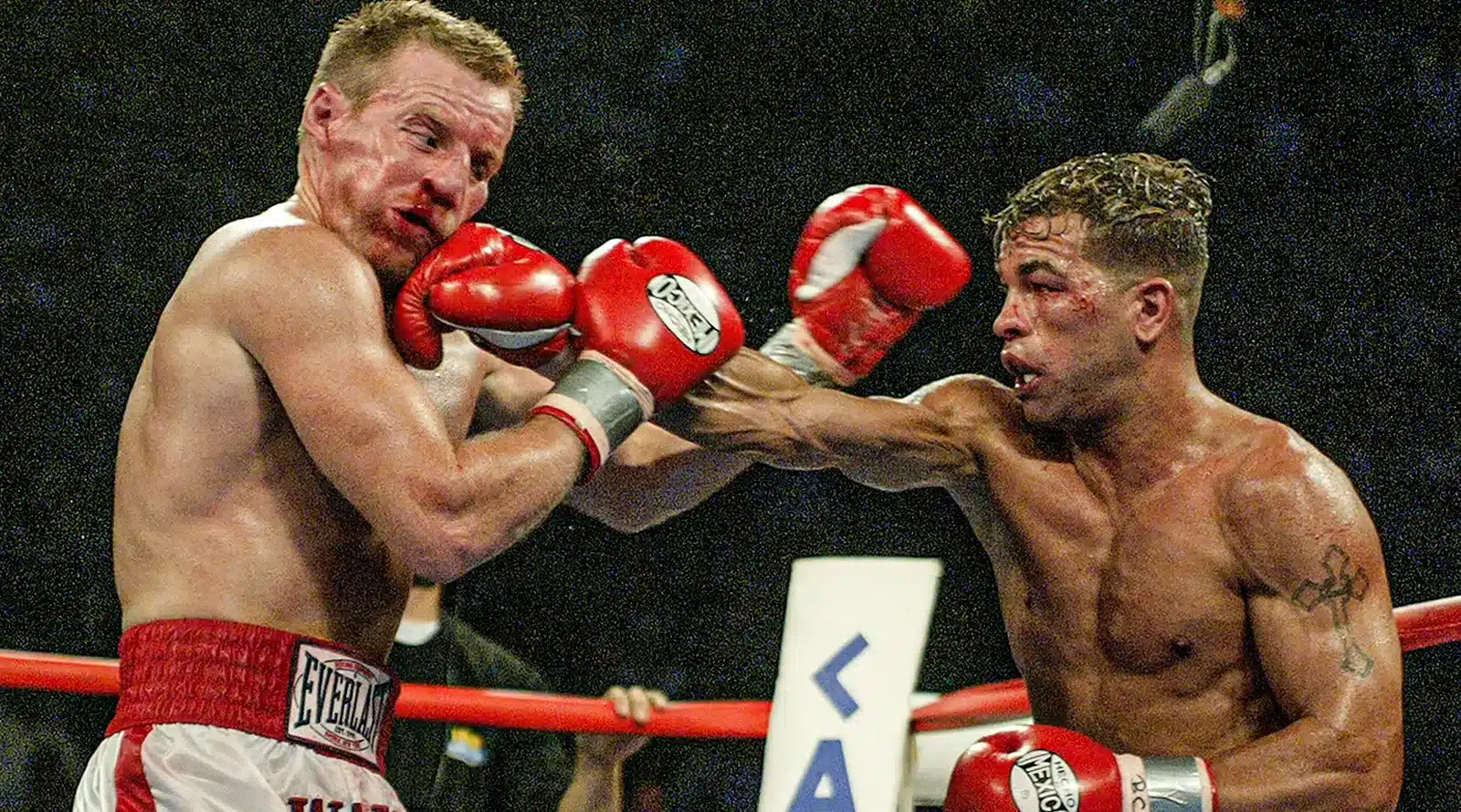 gatti v ward 3