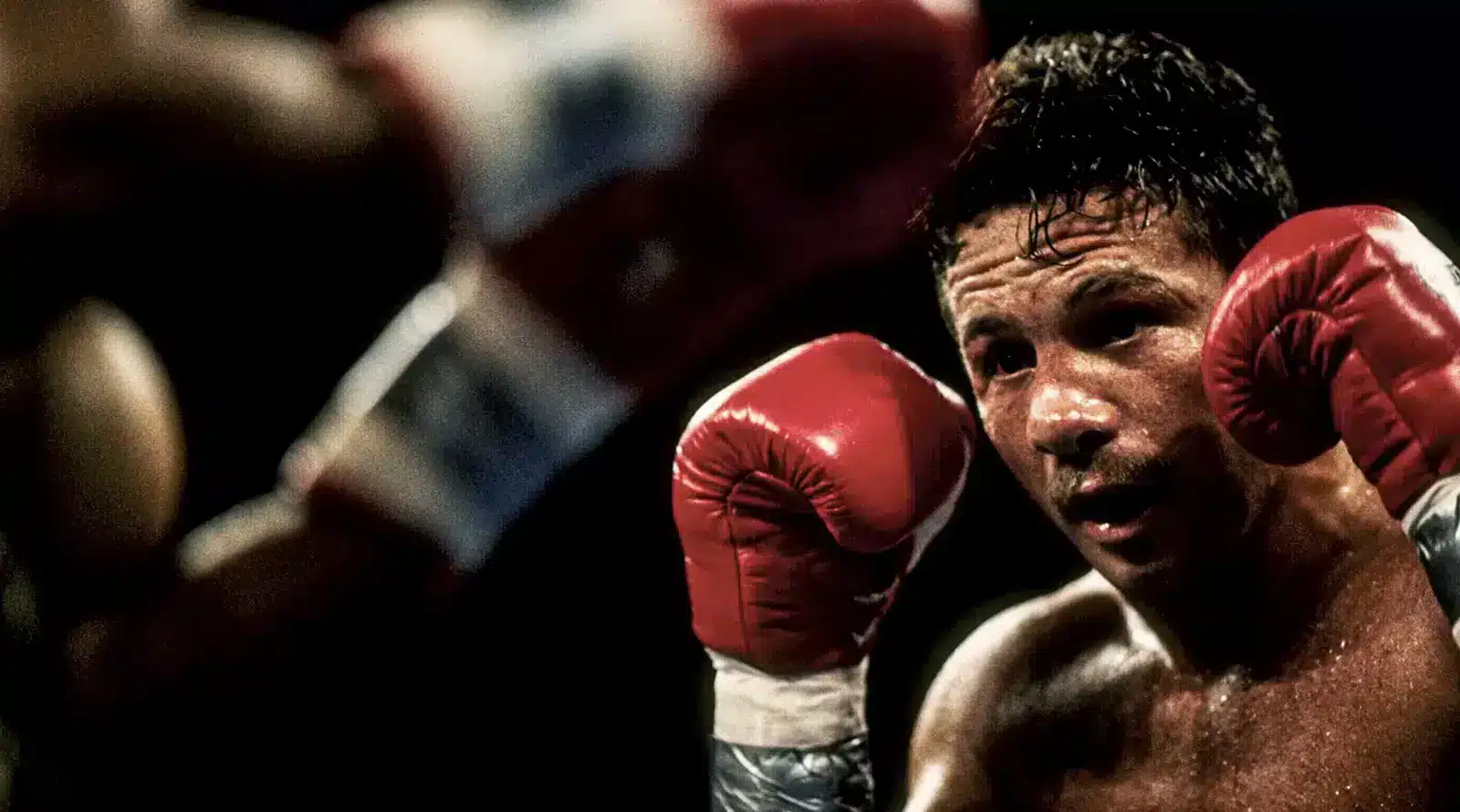 Vinny Pazienza
