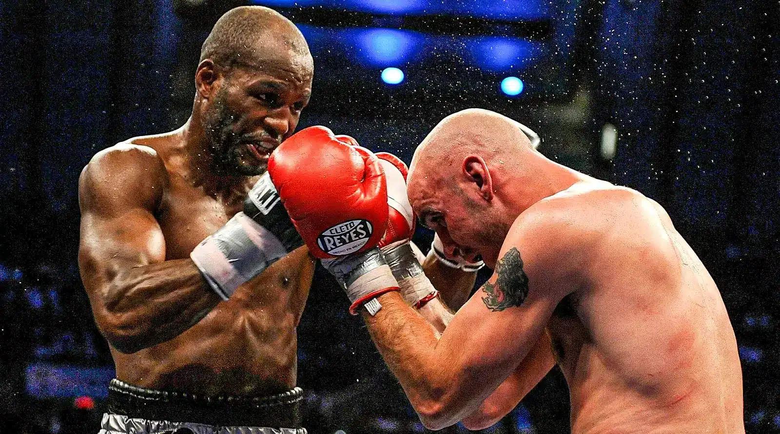hopkins v pavlik